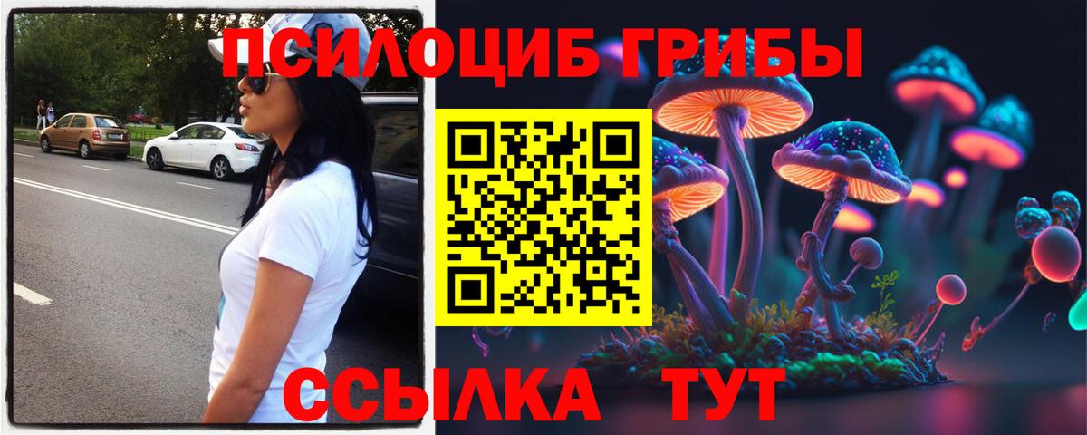 Тавда  Псилоцибиновые грибы Magic Shrooms  Вход с VPN 